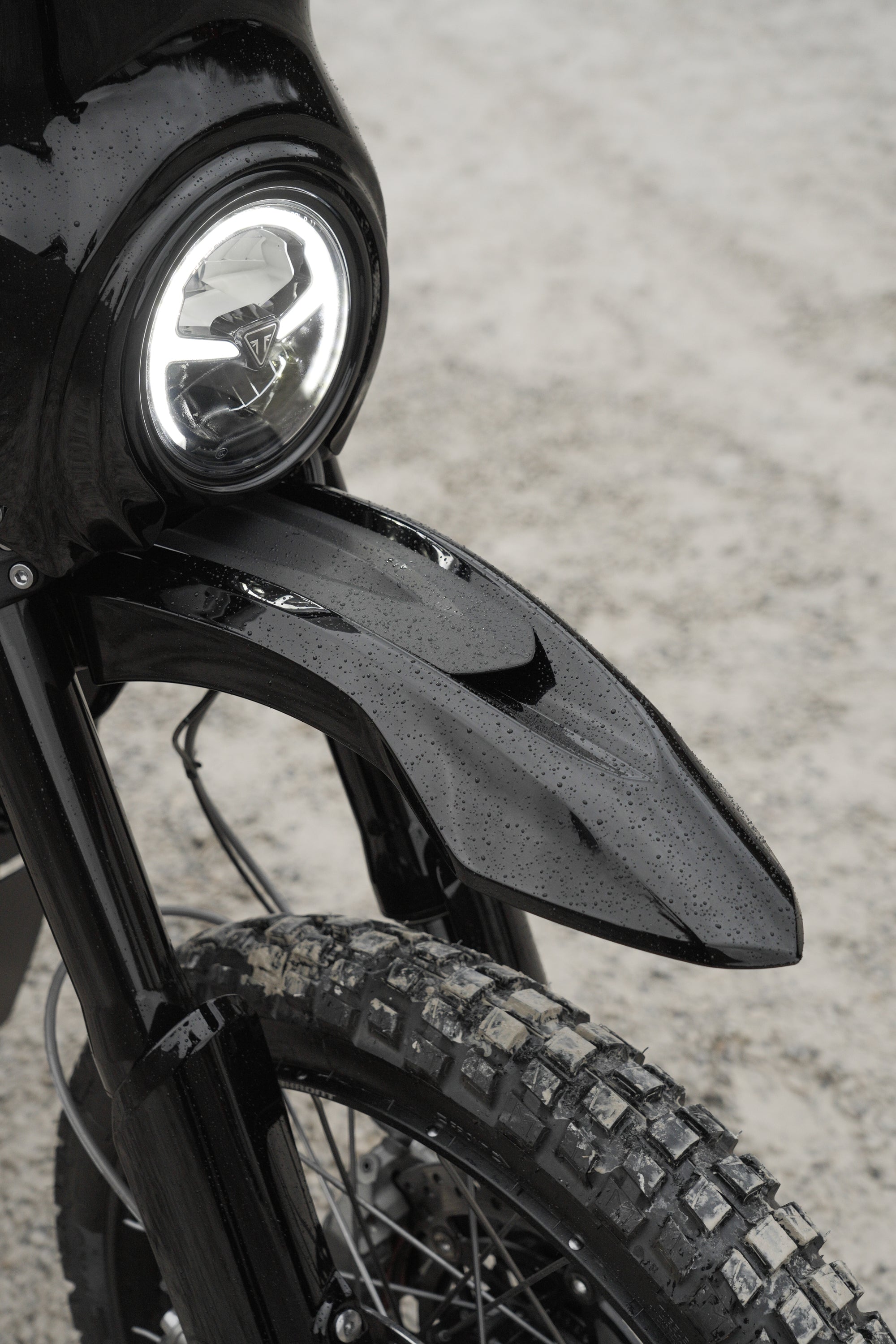 Gabelschützer Triumph Scrambler Gabelprotektoren